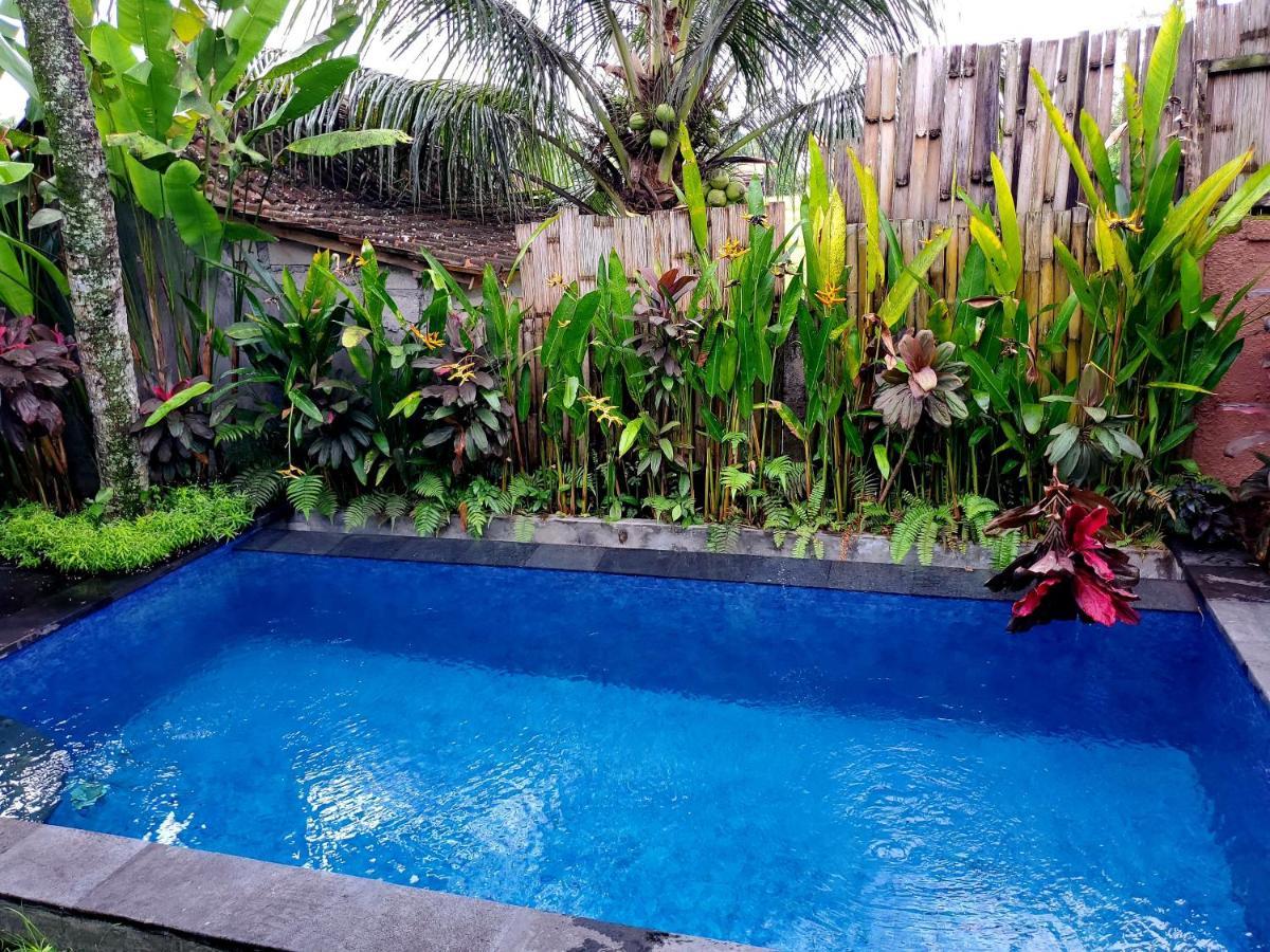 Kakau 2 - Villa